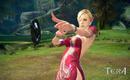 Tera: The Exiled Realms of Arborea: PC-Spiel angeblich mit Wiimote spielbar