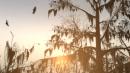 Left 4 Dead 2: Acht InGame-Videos zum Left 4 Dead-Nachfolger Left 4 Dead 2: Acht InGame-Videos zum Left 4 Dead-Nachfolger
