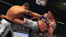 UFC: Sport 1 darf Ultimate Fighting vorerst nicht mehr ausstrahlen