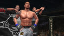 UFC Undisputed 2010: Online-Code führt zu Download-Verwirrung