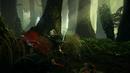 The Witcher 2: Alle Screenshots und alle bisher veröffentlichten Bilder The Witcher 2: Alle Screenshots und alle bisher veröffentlichten Bilder