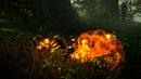 The Witcher 2: Alle Screenshots und alle bisher veröffentlichten Bilder The Witcher 2: Alle Screenshots und alle bisher veröffentlichten Bilder