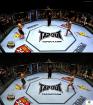 UFC Undisputed 2010: PS3 vs. Xbox 360 - Screenshot-Vergleich