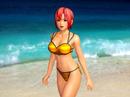 Team Ninja: Neues Spiel auf der Tokyo Game Show, vielleicht ist es Dead or Alive 5