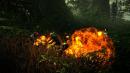 The Witcher 2: Namco Bandai bekommt die Rechte der Xbox 360-Version zugesprochen The Witcher 2: Namco Bandai bekommt die Rechte der Xbox 360-Version zugesprochen