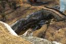Top-Grafik für iPad, iPhone 4 und Co.: Unreal Engine 3 auf Apples Gadgets