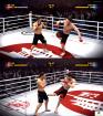 EA Sports MMA: Die Demo im Grafikvergleich - PS3 gegen Xbox 360 EA Sports MMA: Die Demo im Grafikvergleich - PS3 gegen Xbox 360
