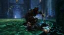 Kingdoms of Amalur bietet Kingdoms of Amalur bietet