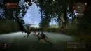 The Witcher 2: Assassins of Kings - Lösung samt Einsteiger-Tipps und Guide für die Sex-Szenen 