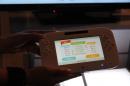 Wii U: Hardware ändert sich derzeit ständig, sagt Entwickler Team Ninja