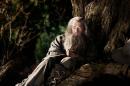 The Hobbit: Premieren-Trailer zum Herr der Ringe-Prequel im HD-Stream [Video des Tages]