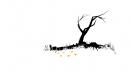 The Unfinished Swan - Vorschau zum neuen Independent-Spiel für PSN - mit Video und Screenshots The Unfinished Swan - Vorschau zum neuen Independent-Spiel für PSN - mit Video und Screenshots
