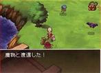 Dragon Quest IX (3)