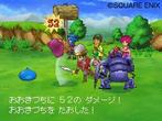 Dragon Quest IX (5)