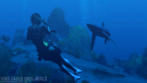 Tomb Raider Underworld