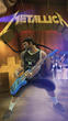 Guitar Hero Metallica   (9)