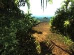 Screenshots aus dem Xbox 360-Rollenspiel Risen. (2)