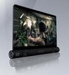 PSP 2 Fan-Design (6)