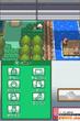 Pokémon: Heart Gold & Soul Silver für DS (2)