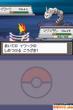 Pokémon: Heart Gold & Soul Silver für DS (7)