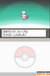 Pokémon: Heart Gold & Soul Silver für DS (9)