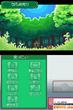 Pokémon: Heart Gold & Soul Silver für DS (11)