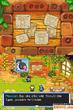 Pokémon Mystery Dungeon: Erkundungsteam Himmel (DS) (8)