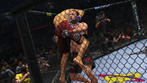 Neue Bilder zu UFC 2010 für Xbox 360 und PS3. (4)
