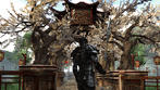 Die neuesten Bilder zum Rollenspiel Two Worlds 2. (2) Die neuesten Bilder zum Rollenspiel Two Worlds 2. (2)