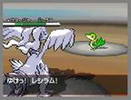 Pokémon Black and White zählt zu einem der kommenden Nintendo-DS-Highlights.