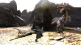 Screenshot zu Monster Hunter Tri - 2008/10/61331520081004_184819_5_big.jpg