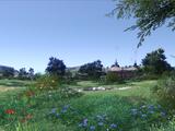 Screenshot zu Final Fantasy 14 Online - 2009/08/800x600_bg005.jpg