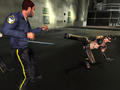 Screenshot zu Catwoman - 2004/05/Cat2.jpg