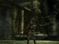 Bild 2 zu Tomb Raider: Legend