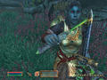Bild 2 zu The Elder Scrolls 4: Oblivion