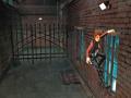 Screenshot zu Tomb Raider: Legend - 2006/10/NZone_1006_GC_Tomb_Raider_Legend_03.jpg