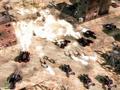 Screenshot zu Command and Conquer 3: Tiberium Wars - 2006/12/1165917169612.jpg