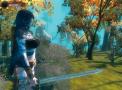 Bild 3 zu Age of Conan: Hyborian Adventures
