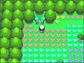 Screenshot zu Pokémon Diamond - 2007/07/VGZ_Pokemon_exklusiv_DS_07.jpg