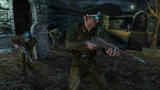 Bild 2 zu Wolfenstein