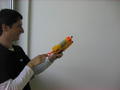 Bild 3 zu Wii