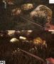 Bild 2 zu Operation Flashpoint: Dragon Rising