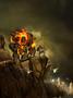 Bild 3 zu Arcania: Gothic 4