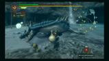 Bild 2 zu Monster Hunter Tri