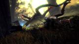 Bild 2 zu The Witcher 2