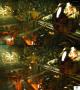 Bild 2 zu Enslaved: Odyssey to the West