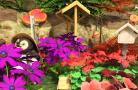 Bild 2 zu My Garden