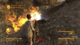 Bild 2 zu Fallout: New Vegas