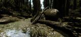 Bild 2 zu Crytek Studios GmbH & Co. KG