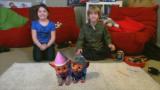 Bild 4 zu EyePet & Friends